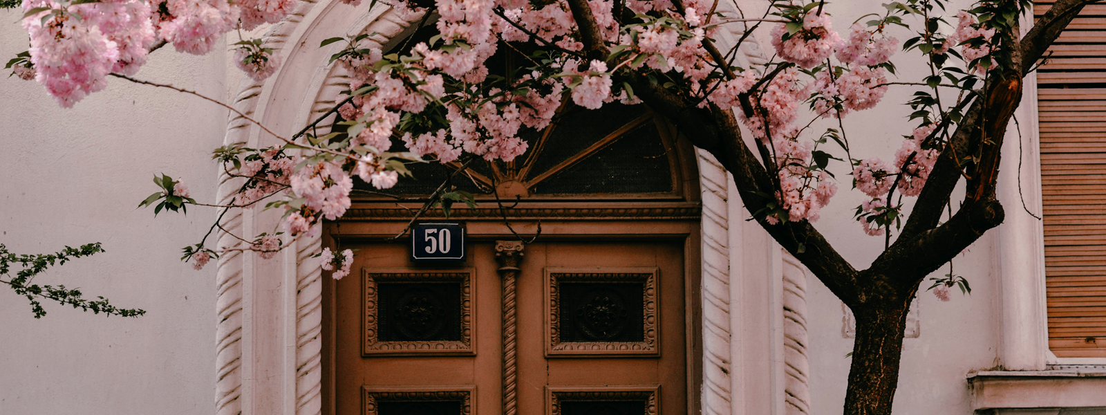 A tree of pink blossoms in front of a doorway. 